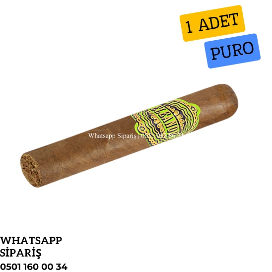 Eleanor No1 Robusto - 1 Adet Puro