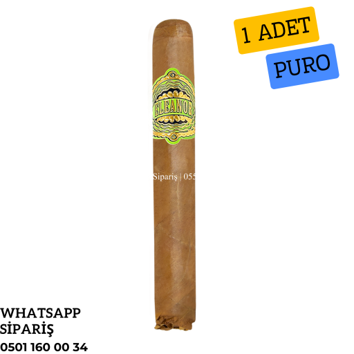 Eleanor Coronitas - 1 Adet Puro