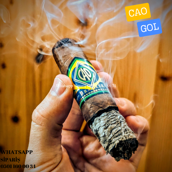 GAO BRAZILLIA GOL PURO 20'Lİ KUTU