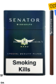 Senator Specıal Wine Grape (Üzüm) Aroma Sigara x10 Paket
