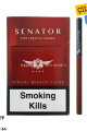 Senator Specıal Strawberry (Çilek) Aroma Sigara x10 Paket
