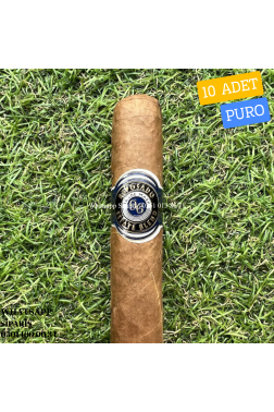 Reposado 96 Estate Blend Colorado Robusto 10'lu Puro