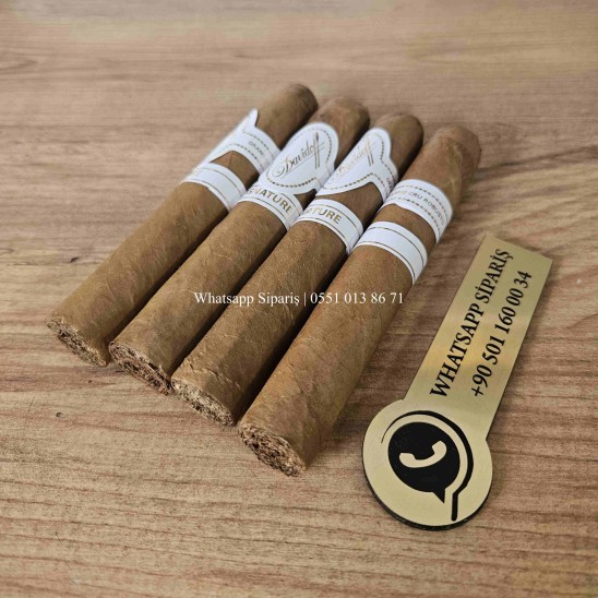 Davidoff Grand Cru Robusto 4'lü Puro