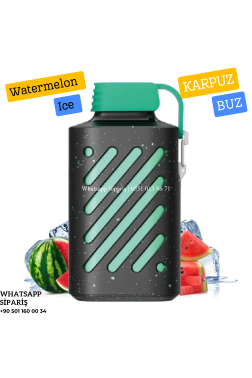 Vozol Watermelon Ice 10000 PUFF