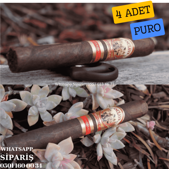 AJ Fernandez Enclave Broadleaf Toro 4'lü Puro Paket