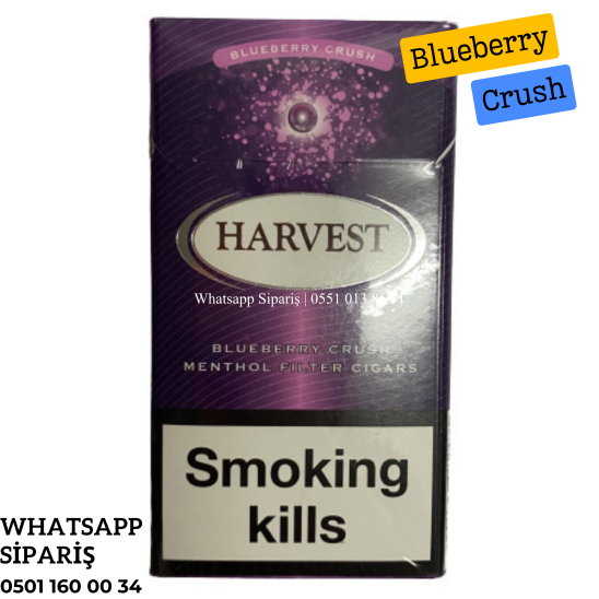 Harvest Blueberry Crush Filter Slim Sigara x10 Paket