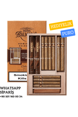 Balmoral Dominican Selection Collection 12'li Puro Seti