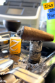 Zino Nicaragua Short Torpedo 4'lü Puro Taze Paket