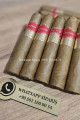 San Antonio Laugito 54 Habano Claro 10'lu Puro Kutu