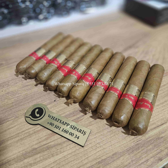 San Antonio Laugito 54 Habano Claro 10'lu Puro Kutu