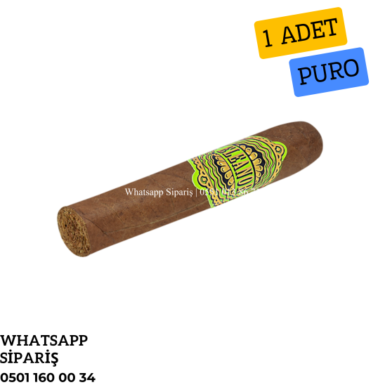 Eleanor No2 Petit Robusto - 1 Adet Puro