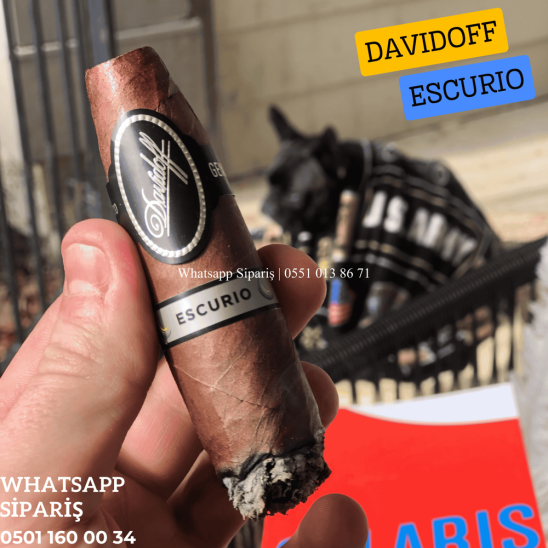 Davidoff Escurio Gran - 3'lü Puro Paket