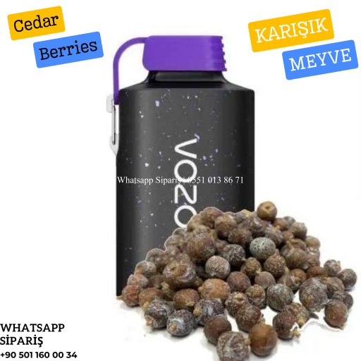 Vozol Cedar Berries 10000 PUFF