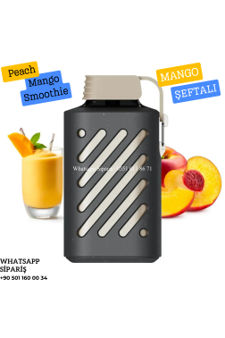 Vozol Peach Mango Smoothie 10000 PUFF