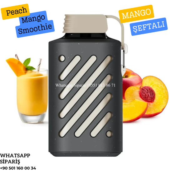 Vozol Peach Mango Smoothie 10000 PUFF