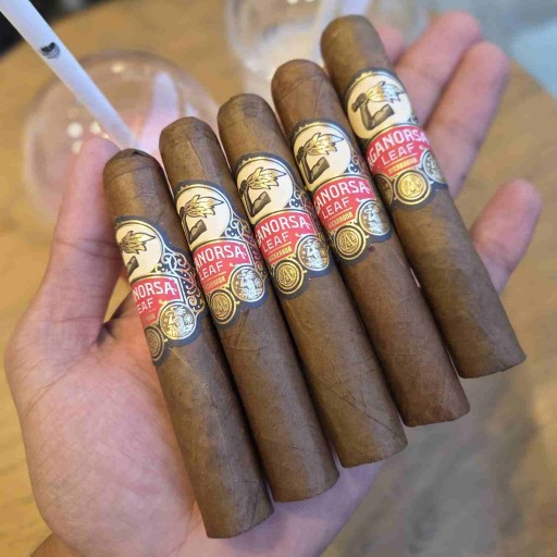 Aganorsa Leaf Corojo 444 - 5'li Puro Paket