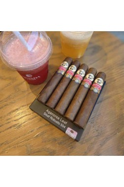 Aganorsa Leaf Sleaf Robusto 554 - 5'li Puro Paket