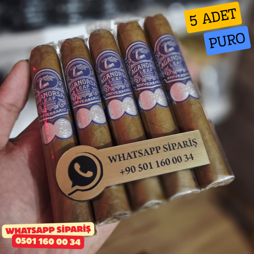 Aganorsa Leaf C Robusto 554 - 5'li Puro Paket