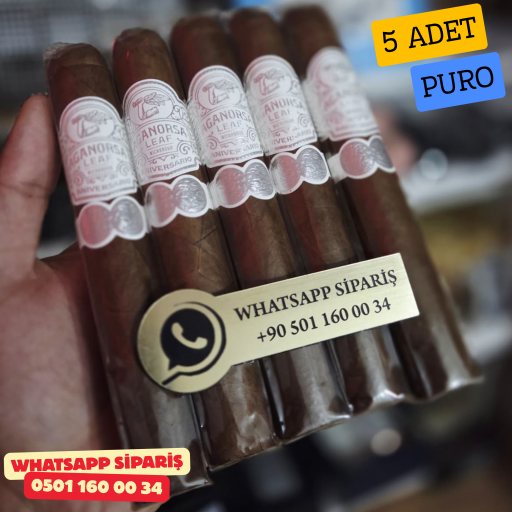 Aganorsa Leaf Corojo Grantoro 659 - 5'li Puro Paket