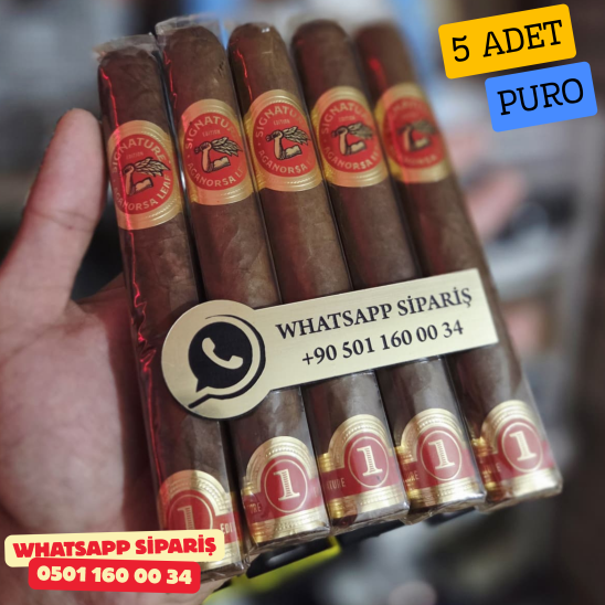 Aganorsa Leaf Toro 652 - 5'li Puro Paket