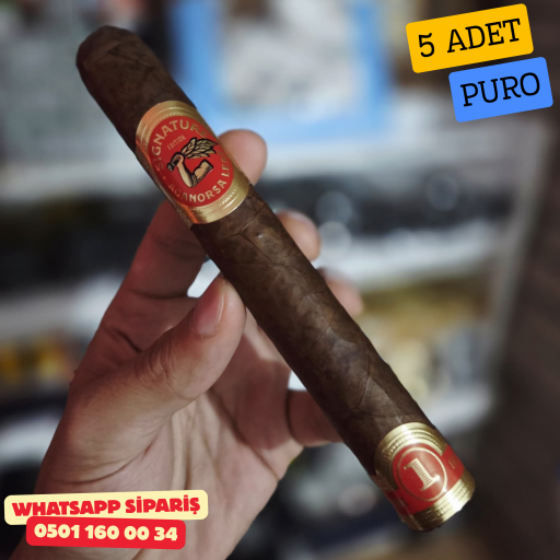 Aganorsa Leaf Toro 652 - 5'li Puro Paket