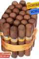 Cohiba Robustos Puro – %100 ORİJİNAL KÜBA ÜRETİMİ