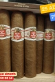 Hoyo de Monterrey Petit Robustos Puro – %100 ORİJİNAL KÜBA