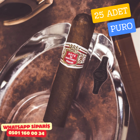 Hoyo de Monterrey Petit Robustos Puro – %100 ORİJİNAL KÜBA