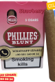 Phillies Blunt Strawberry (Çilek) 5’li Puro