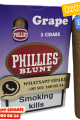 Phıllıes Blunt Grape (Üzüm) 5's Puro