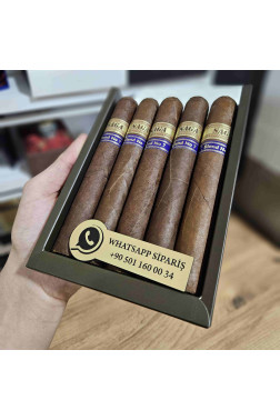 Saga Blend No.7 Toro - 1 Adet Puro
