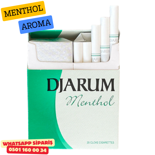 Djarum Menthol (Mentol) Sigara x10 Paket