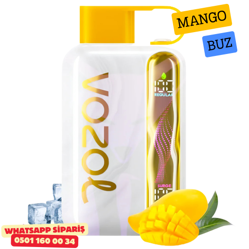 Vozol STAR 40000 PUFF - Mango Ice