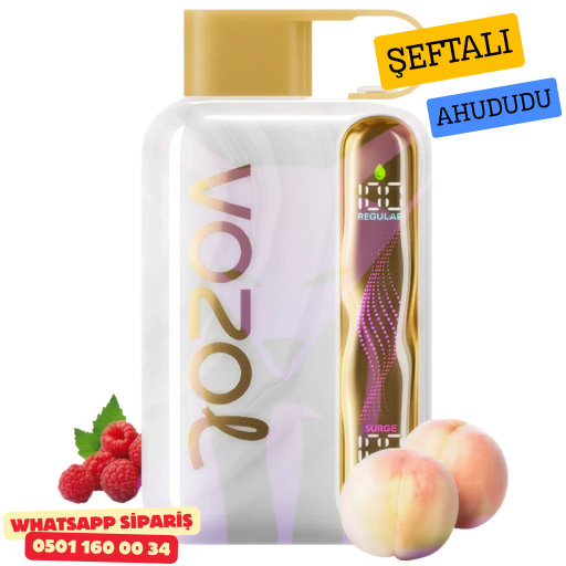 Vozol STAR 40000 PUFF - White Peach Raspberry
