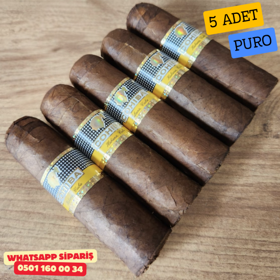 Cohiba Extra Petit Robusto 5's