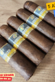 Cohiba Extra Petit Robusto 5's