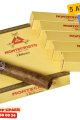 Montecristo Robustos Paket 5's