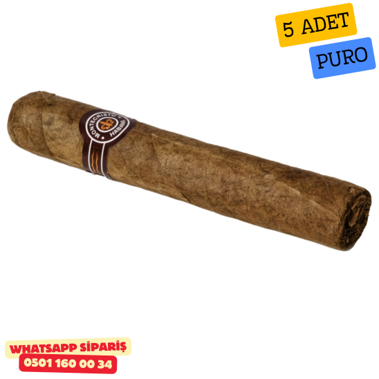 Montecristo Robustos Paket 5's
