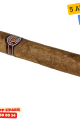 Montecristo Robustos Paket 5's