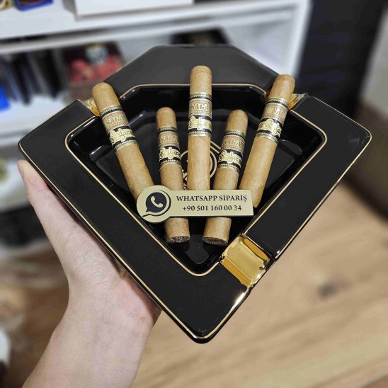 Saga Solaz Robusto 550 - 1 Adet Puro