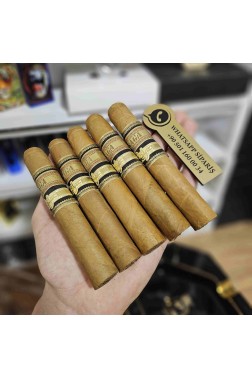 Saga Solaz Robusto 550 - 5'li Puro Paket