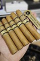 Saga Solaz Robusto 550 - 5'li Puro Paket