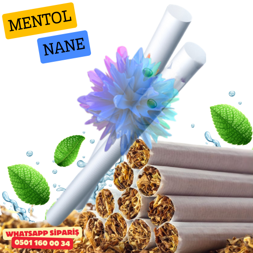 Menthol Mint – Tek Patlatmalı Mentollü Nane Aromalı Sarma Sigara x10 Paket
