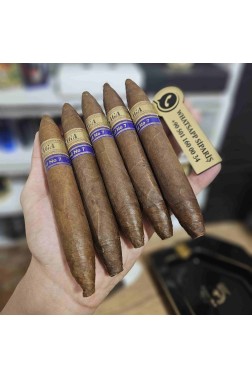 Saga Blend No.7 Perfecto - 5'li Puro Paket
