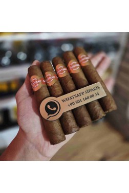 Quintero FV Favoritos 5'li Puro Paket (Küba Purosu)