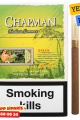 Chapman Endless Summer Green Slim Yeşil Elma Aromalı Sigara x10 Paket