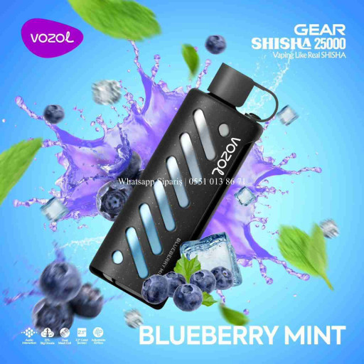 Vozol Gear Blueberry Mınt 25000 PUFF