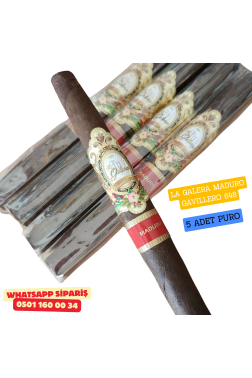 La Galera Moduro GaVillero 5'li Puro Paket
