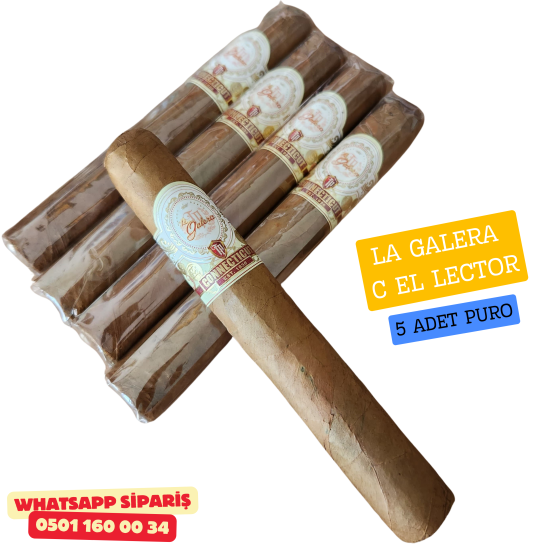 La Galera Connecticut El Lector 5'li Puro Paket