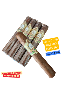 La Galera Habano Pilones 5'li Puro Paket